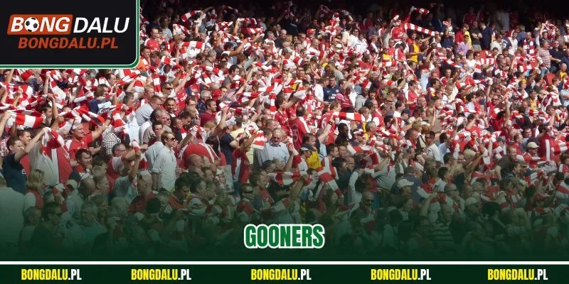 Gooners Là Gì? Lý Giải Chi Tiết Biệt Danh Fan Của CLB Arsenal